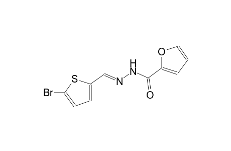 2-furancarboxylic acid, 2-[(E)-(5-bromo-2-thienyl)methylidene]hydrazide