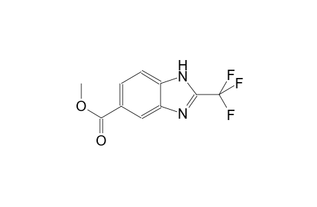 1H-Benzoimidazole-5-carboxylic acid, 2-trifluoromethyl-, methyl ester