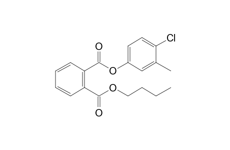 Phthalic acid, butyl 4-chloro-3-methylphenyl ester