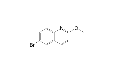 6-BrOMO-2-METHOXYQUINOLINE
