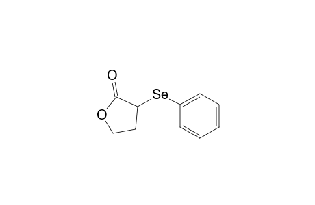 2(3H)-furanone, dihydro-3-(phenylseleno)-