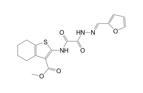 methyl 2-{[[(2E)-2-(2-furylmethylene)hydrazino](oxo)acetyl]amino}-4,5,6,7-tetrahydro-1-benzothiophene-3-carboxylate