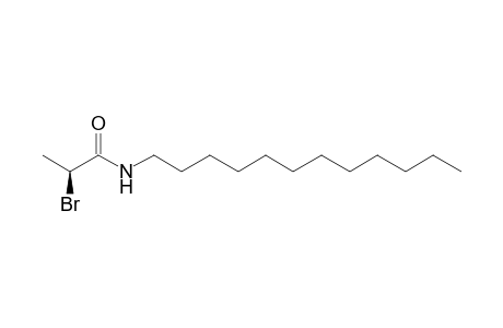 (S)-(-)-N-Dodecyl-2-bromopropionamide