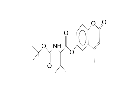 4-methyl-6-coumarinyl 2-tert-butoxycarbonylamido-3-methylbutanoate