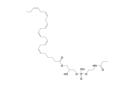 LNAPE 24:6/N-3:0