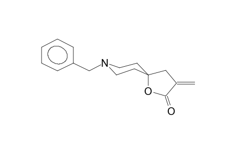 3-METHYLENE-8-BENZYL-1-OXA-8-AZASPIRO[4.5]DECAN-2-ONE