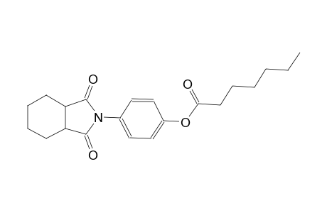 heptanoic acid, 4-(octahydro-1,3-dioxo-2H-isoindol-2-yl)phenyl ester