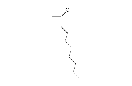 2-[Heptylidene)-cyclobutan-1-one