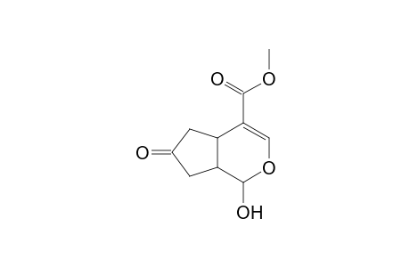 Methyl 2-Hydroxy-8-oxo-3-oxabicyclo[4.3.0]nonane-5-carboxylate