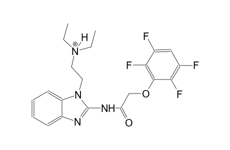 N,N-diethyl-2-(2-{[(2,3,5,6-tetrafluorophenoxy)acetyl]amino}-1H-benzimidazol-1-yl)ethanaminium