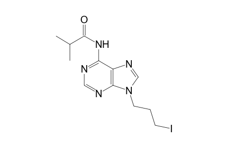 N-[9-(3-iodanylpropyl)purin-6-yl]-2-methyl-propanamide