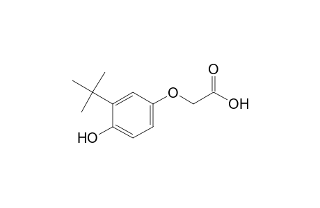 Acetic acid, 2-[3-(1,1-dimethylethyl)-4-hydroxyphenoxy]-