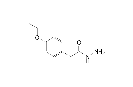 2-(4-ethoxyphenyl)acetohydrazide