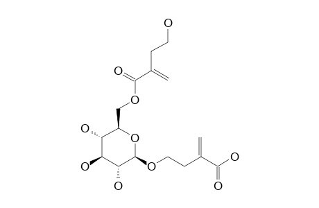 1-O-(4-HYDROXY-2-METHYLENE-BUTANOICACID-6-O-BETA-D-(4-HYDROXY-2-METHYLENE-BUTANOYL)-GLUCOPYRANOSIDE
