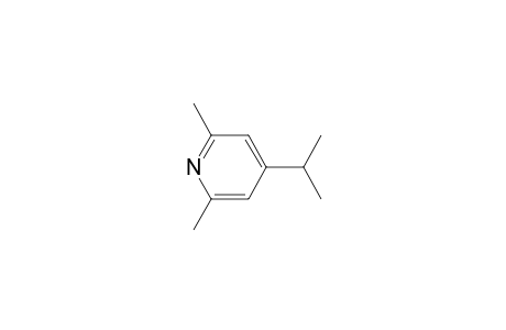 2,6-Dimethyl-4-propan-2-yl-pyridine