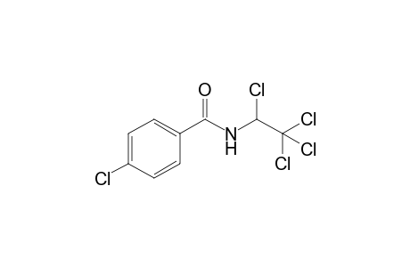 4-Chloranyl-N-[1,2,2,2-tetrakis(chloranyl)ethyl]benzamide