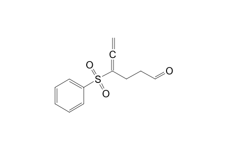 4-(Phenylsulfonyl)hexa-4,5-dien-1-al