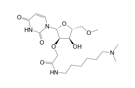2'-O-{[(N-[6-(Dimethylamino)hexyl)carbamoyl]methyl}-5-methyluridine