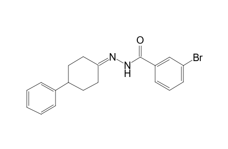 3-Bromo-N'-(4-phenylcyclohexylidene)benzohydrazide