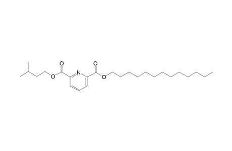 2,6-Pyridinedicarboxylic acid, 3-methylbutyl tridecyl ester