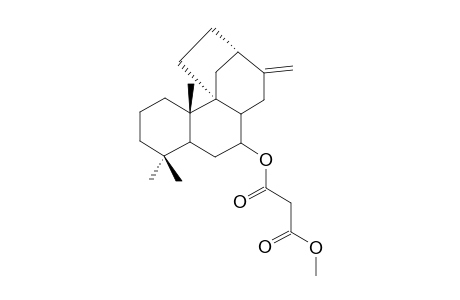 METHYL-13-METHYLENE-7-MALONYLOXY-STEMARANE