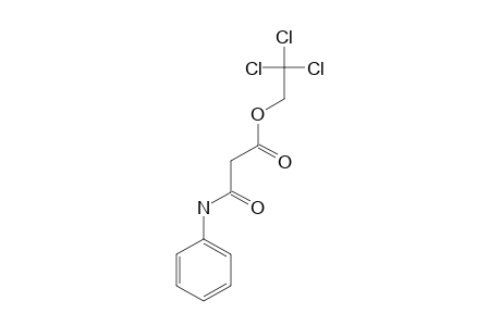 N-PHENYL-[(TRICHLOROETHYLOXYCARBONYL)-ETHYL]-AMIDE-ANION