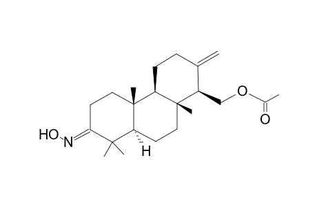 (1R,2R,6R,7R) 6-(Acetoxymethyl)-5-methylene-1,7,11,11-tetramethyl-12-oximidotricyclo[8.4.0.0(2,7)]tetradecane