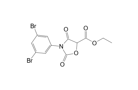 3-(3,5-dibromophenyl)-2,4-diketo-oxazolidine-5-carboxylic acid ethyl ester