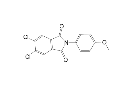 5,6-dichloro-2-(4-methoxyphenyl)-1H-isoindole-1,3(2H)-dione
