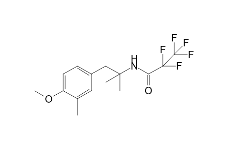 2,2,3,3,3-pentafluoro-N-(1-(4-methoxy-3-methylphenyl)-2-methylpropan-2-yl)propanamide