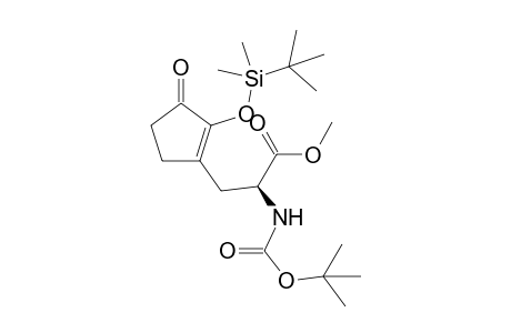 (S)-2-tert-Butoxycarbonylamino-3-[2-(tert-butyl-dimethyl-silanyloxy)-3-oxo-cyclopent-1-enyl]-propionic acid methyl ester