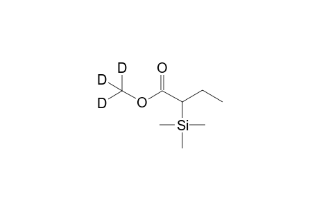 2-(D3-methyl)butyric acid 1TMS