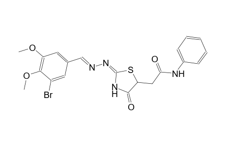 2-{(2E)-2-[(2E)-2-(3-bromo-4,5-dimethoxybenzylidene)hydrazono]-4-oxo-1,3-thiazolidin-5-yl}-N-phenylacetamide