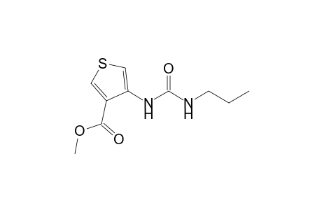 3-Thiophenecarboxylic acid, 4-[[(propylamino)carbonyl]amino]-, methyl ester