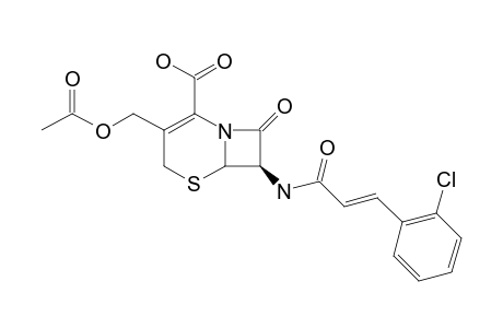 7-BETA-(2-CHLOROCINNAMOYL)-AMINO-3-ACETOXYMETHYL-CEPHALOSPORINE