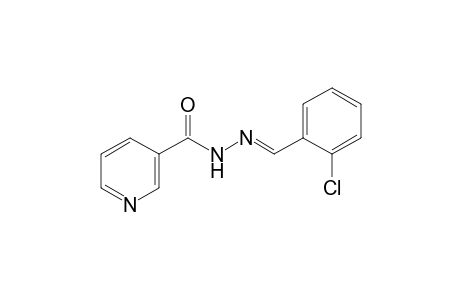 nicotinic acid, (o-chlorobenzylidene)hydrazide