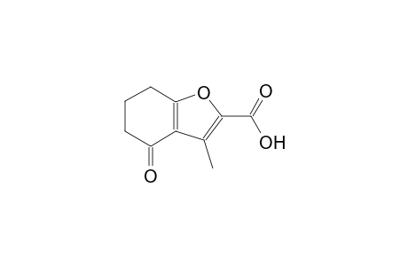 3-methyl-4-oxo-4,5,6,7-tetrahydro-1-benzofuran-2-carboxylic acid