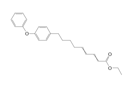 Ethyl 9-(para-phenoxyphenyl)-2,4-nonadienoate