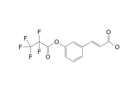 m-Coumaric acid PFP