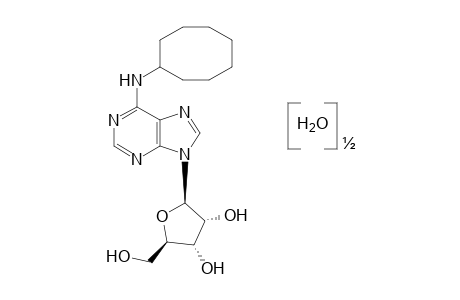 N-cycloctyladenosine, hemihydrate