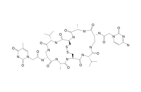 CYCLO-[BETA-D-DAP-(CYTOSIN-1-YLACETYL)-L-ALA-L-CYS-L-VAL-BETA-D-DAP-(THYMIN-1-YLACETYL)-L-ALA-L-CYS-L-VAL]-DISULFIDE