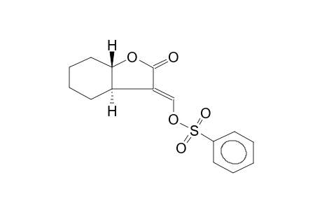 (E)-3-(PHENYLSULPHONYLOXYMETHYLENE)-TRANS-HEXAHYDRO-2(3H)-BENZOFURANONE