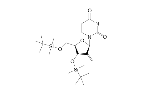 1-(2-Deoxy-2-methylene-3,5-o-bis(tert-butyldimethylsilyl)-.beta.,D-erythro-pentahydrofuranosyl)uracil