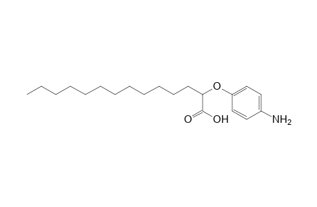 Tetradecanoic acid, 2-(4-aminophenoxy)-