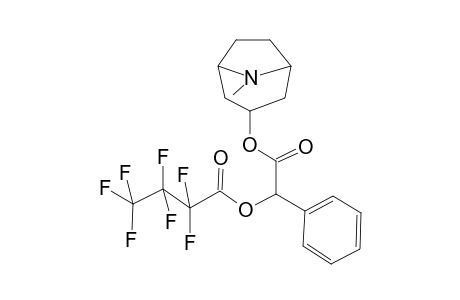 dl-Homatropine heptafluorobutyrate