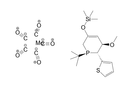 Pentacarbonyl-[1-(t-butyl)-6-(2'-thienyl)-5-methoxy-3-(trimethylsilyloxy)-1-phosphacyclohex-3-ene]-molybdenium