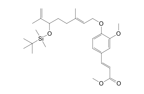 Methyl (2'E,6'S)-4-O-[6'-(tert-butyldimethylsilyloxy)-7'(9')-dehydro-6',7'-dihydrogeranyl]coniferate