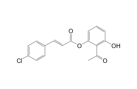 2'-(4-Chlorolcinnamoyloxy)-6'-hydroxyacetophenone