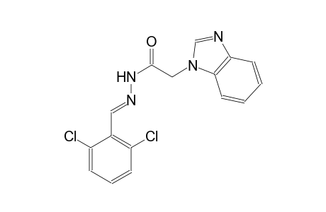 1H-benzimidazole-1-acetic acid, 2-[(E)-(2,6-dichlorophenyl)methylidene]hydrazide
