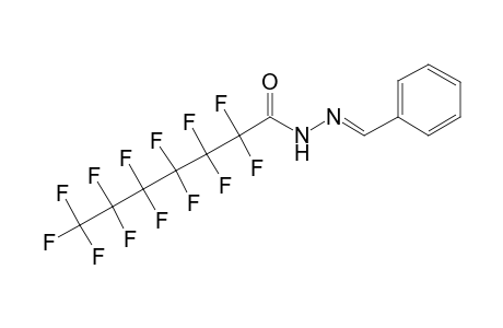 2,2,3,3,4,4,5,5,6,6,7,7,7-Tridecafluoro-heptanoic acid benzylidene-hydrazide